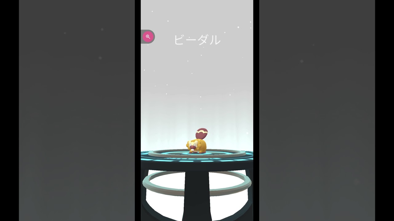 ＃shorts◇色違いビッパ進化で色違いビーダル＊AIの音声 葵ちゃんとマユおねぇさん【ポケモンGO】＃717