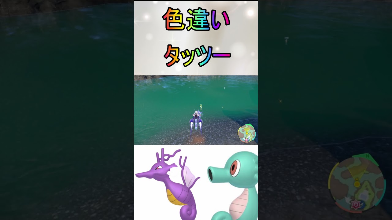 色厳選大量発生なし色違いタッツー、シードラ、キングドラ入手【ポケットモンスターバイオレットスカーレットsv/ゼロの秘宝/碧の仮面/藍の円盤】#shorts #ポケモン #色違い #藍の円盤 #タッツー