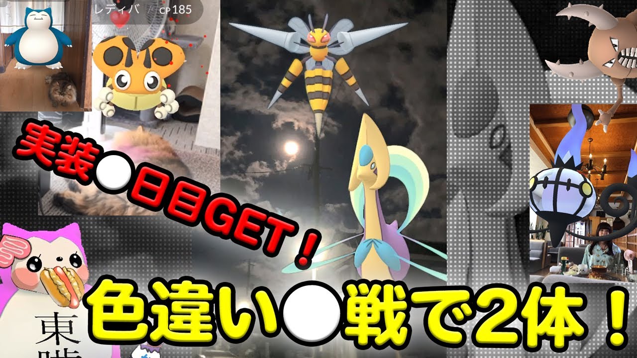 ポケGOライト勢有利説？色違いレディバ●日目＆クレセリア●戦で2体！