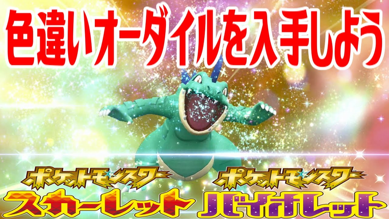 【ポケモンSV】色違いオーダイルを入手しよう 進化入手【ポケットモンスター スカーレット・バイオレット ゼロの秘宝 藍の円盤】Pocket Monsters