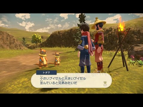 序盤にクリアは難しい...？サブ任務4「ブイゼルの背くらべ」ムービー【Pokémon LEGENDS アルセウス】