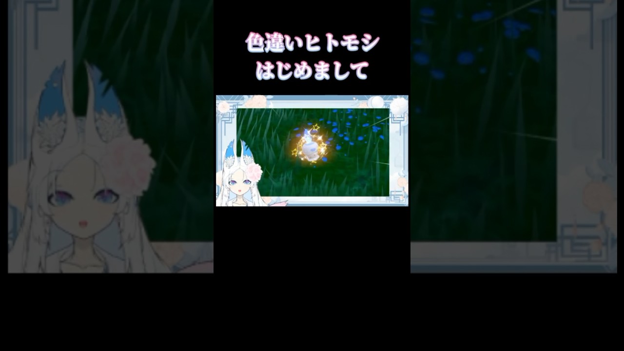 色ヒトモシ可愛いのじゃ🕯#ポケモン #ポケモンsv #色違い #ゼロの秘宝 #ヒトモシ #新人vtuber #vtuber準備中 #shorts