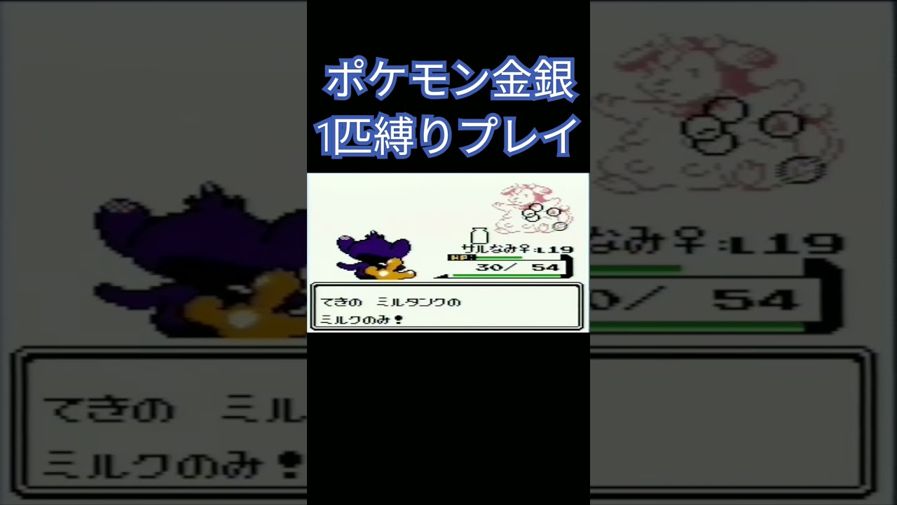 【ポケモン金銀】ポケモン1匹縛りプレイ!!エイパムver【縛りプレイ】#ポケモンクリスタル #ポケモン金銀 #縛りプレイ #エイパム  #ゲーム実況