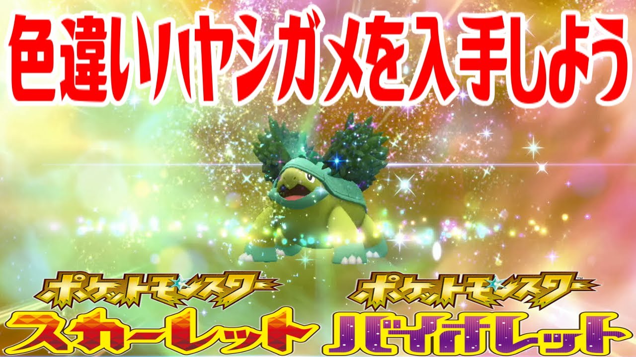 【ポケモンSV】色違いハヤシガメを入手しよう 進化入手【ポケットモンスター スカーレット・バイオレット ゼロの秘宝 藍の円盤】Pocket Monsters