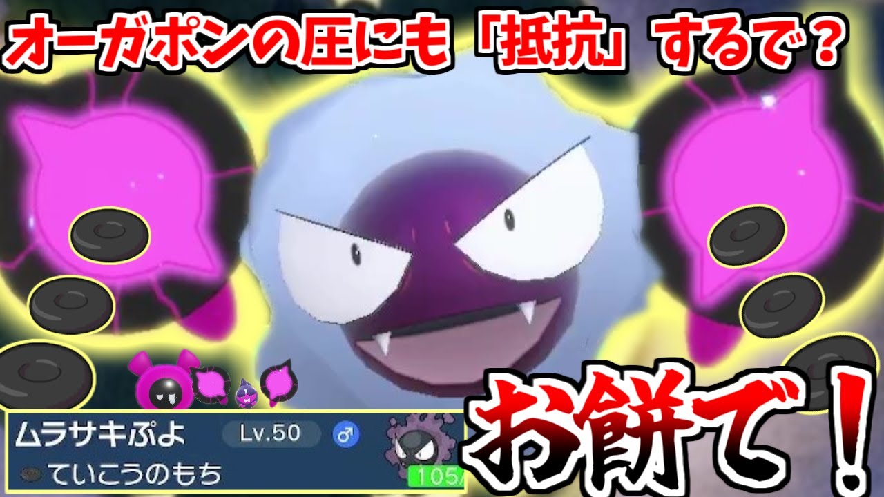 自分をモモワロウと信じてやまない一般ゴースが「ていこうのもち」を持って戦うようです【ポケモンSV】【ゆっくり実況】