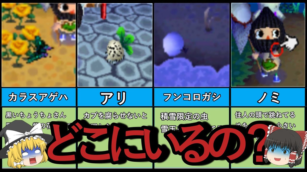 【おい森DS】以外と出現率が低い虫と特定の条件で出現する虫