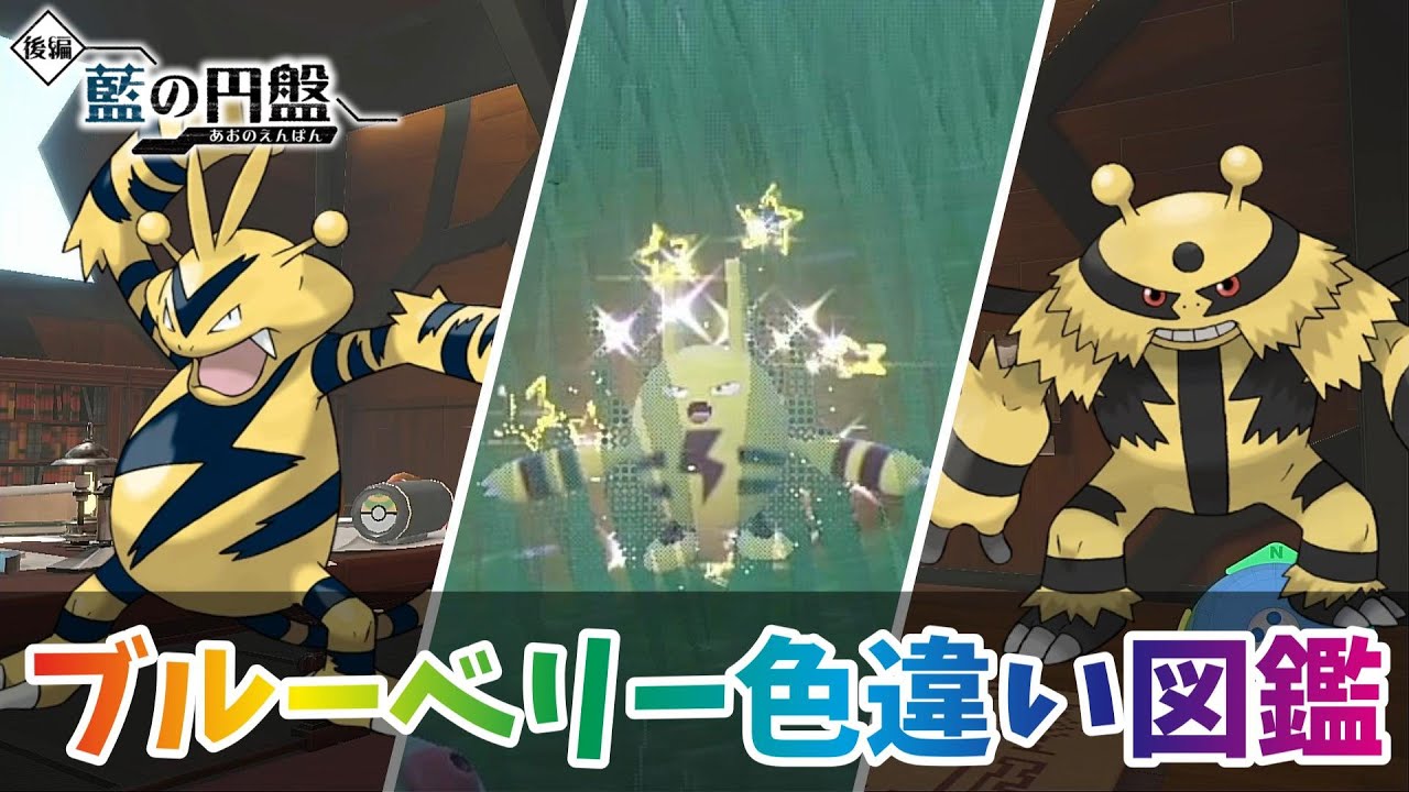 【ポケモンSV】色違いエレキッド・エレブー・エレキブル厳選！【色違いブルーベリー図鑑 ＃５】