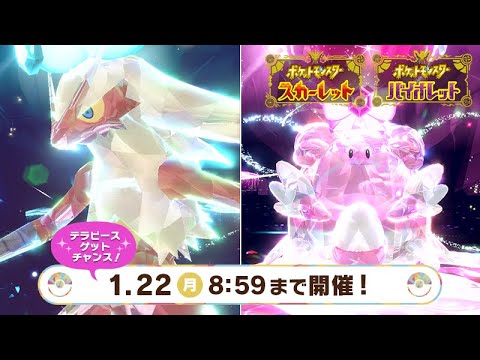 【ポケモンSV】最強バシャーモを倒せ！周回　雑談有　交換有　～自由参加型～ ハピナス有