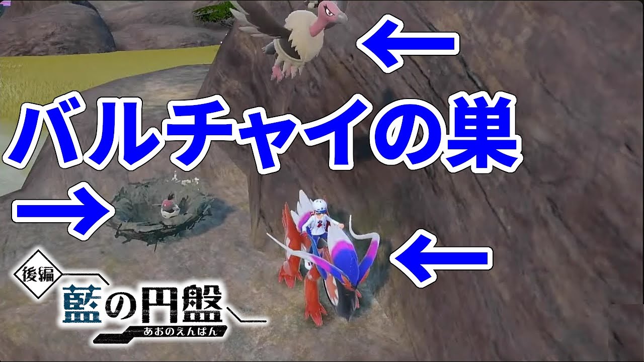 【藍の円盤】バルチャイの巣に近づいたらバルジーナに襲われた【ポケモンSV】