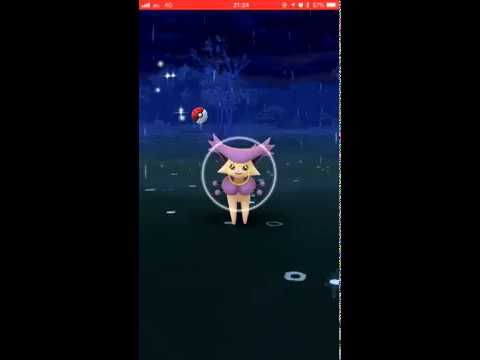 【Pokémon GO Excellent Throw】301 エネコロロ (Delcatty)