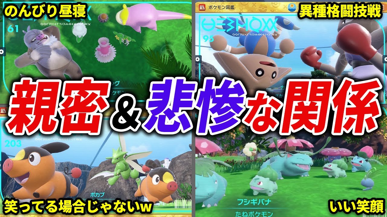 仲良し＆敵対関係のポケモン18選【藍の円盤】