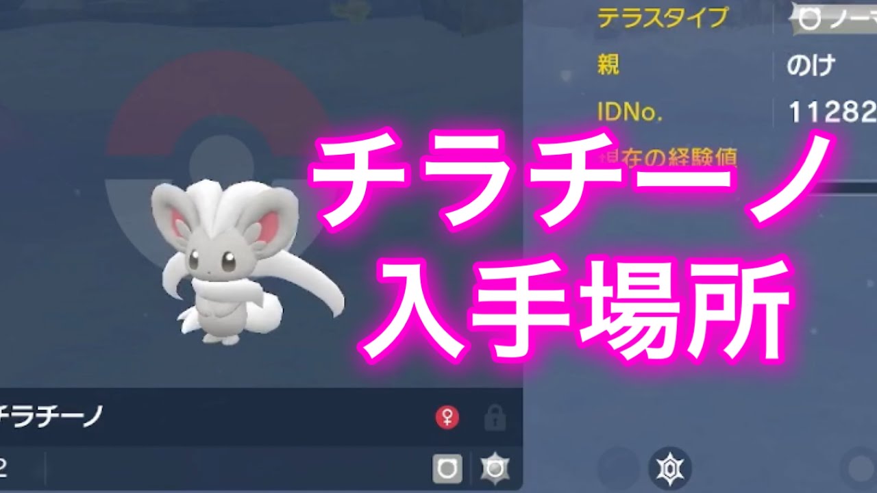 【ポケモンSV】【藍の円盤】チラチーノ入手場所