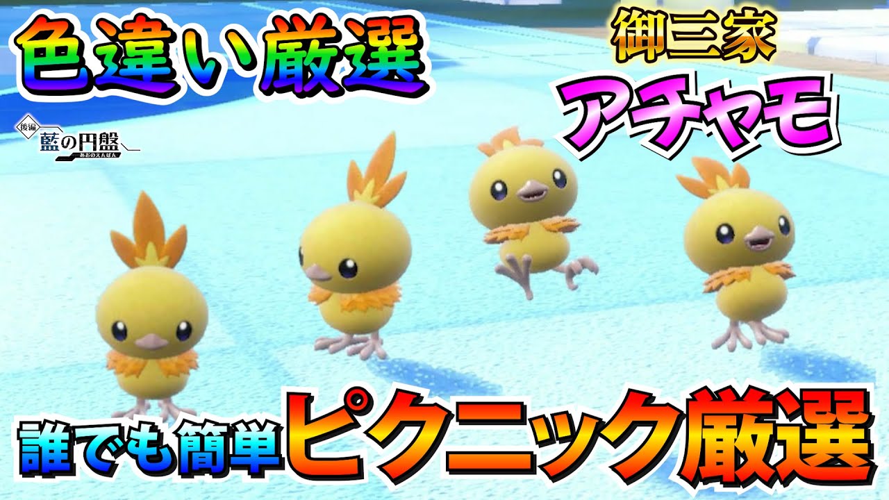 【ポケモンSV】アチャモ（バシャーモ）の色違いを効率良く簡単にゲットする方法！【色厳選】