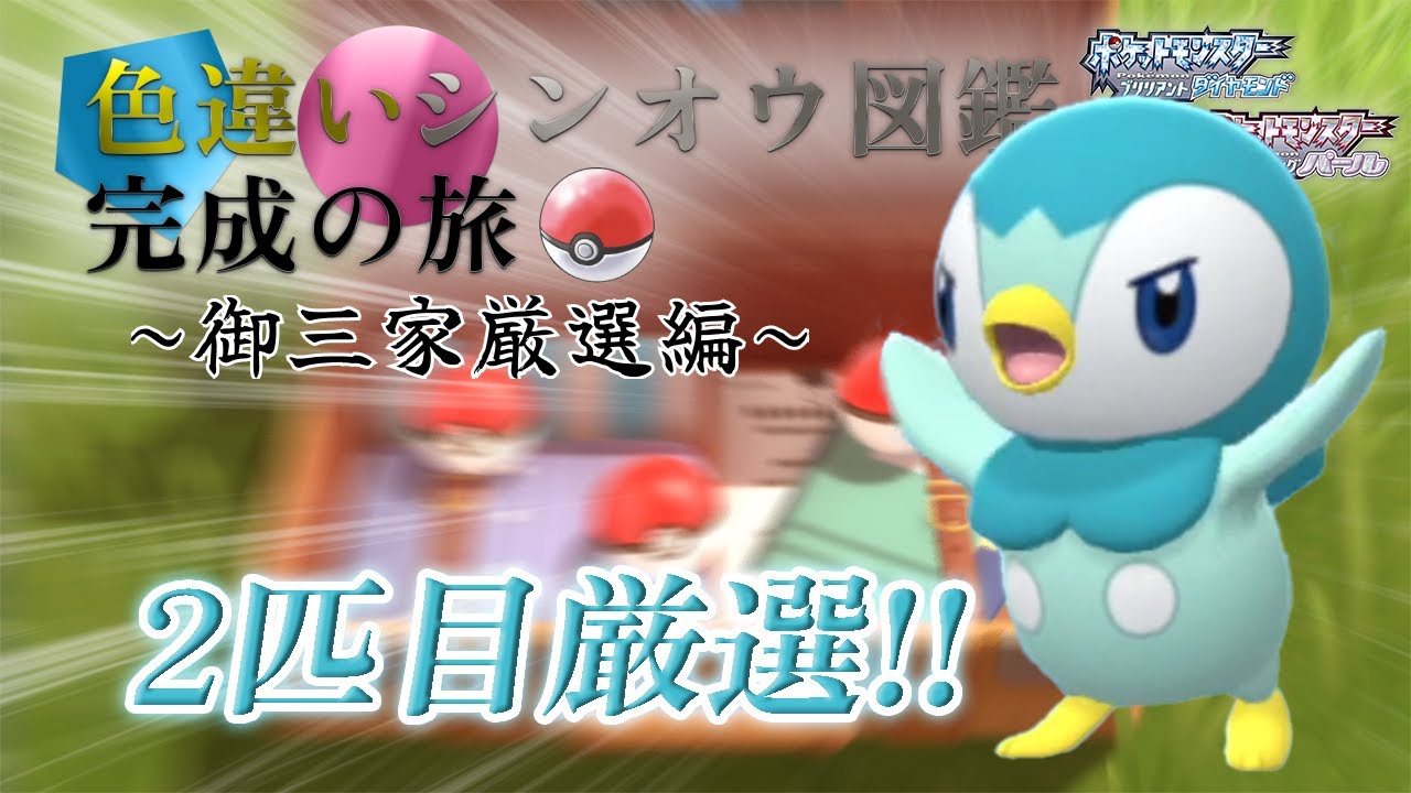 【2匹目ポッチャマ】0回 ~ 100回｜【ポケモンBDSP】色違いシンオウ図鑑完成の旅「【御三家厳選編】色違い御三家2匹目、3匹目が欲しい！！」