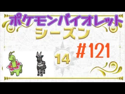 [ポケモンバイオレット] #121 ランクバトル(シーズン14) メガニウム ゼブライカ