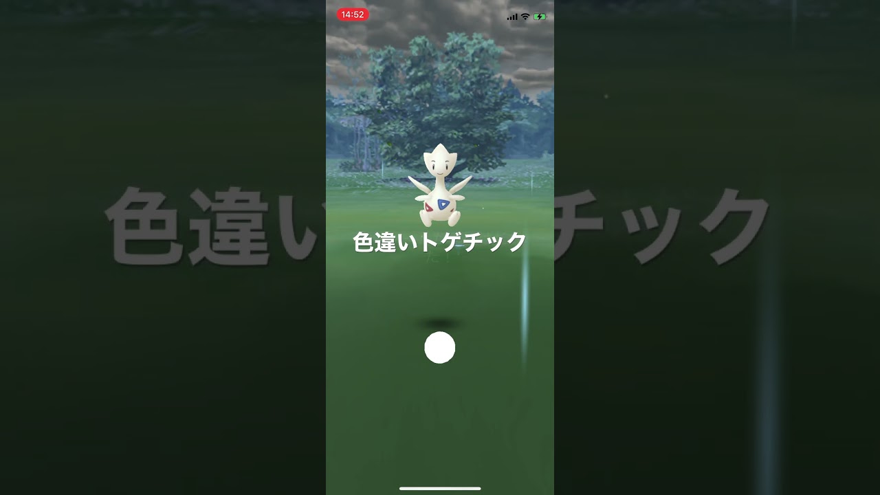 ポケモンGO 色違いトゲチック出現！ #pokémon #ポケットモンスター #pokmongo