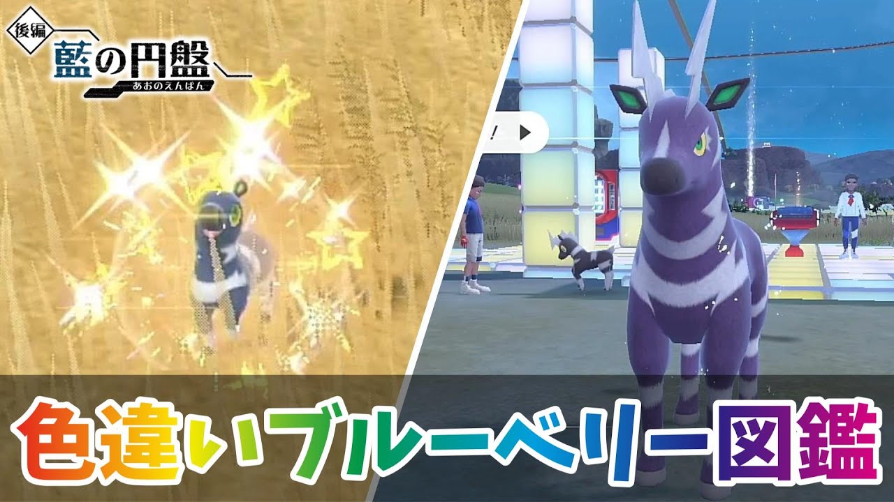【ポケモンSV】色違いシママ・ゼブライカ厳選！【色違いブルーベリー図鑑 ＃１０】