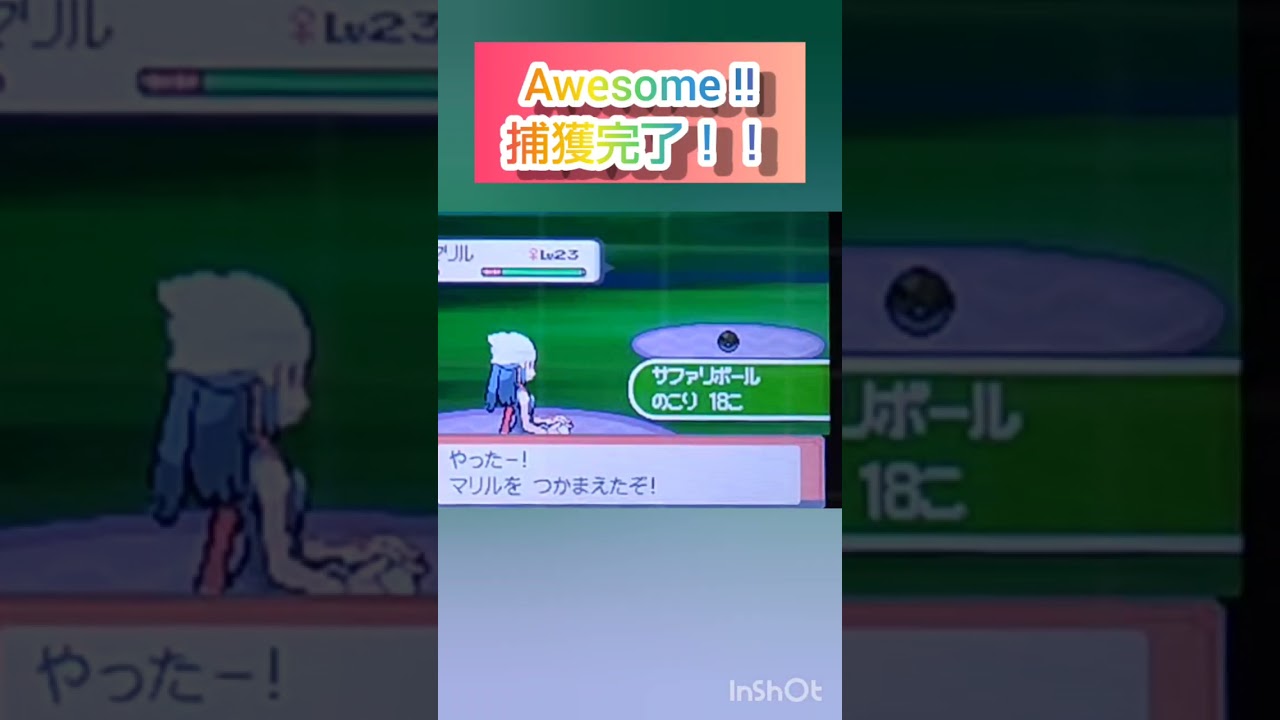 【ポケモンDP】色違い捕獲日記　79日目　マリル　【PokémonDP】The diary Capturing shiny Pokémon's　Day79　Marill　#shorts