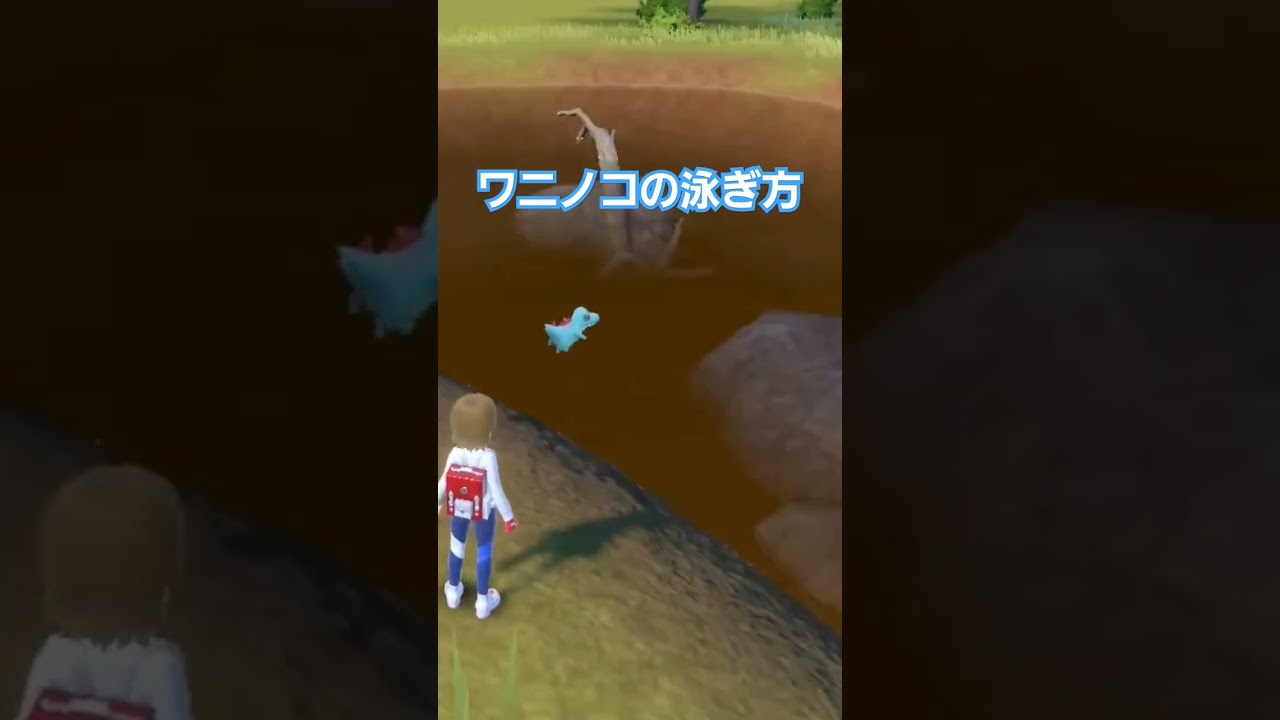 【ポケモンsv】ワニノコの泳ぎ方がかわいすぎ✨ #ポケモンsv #藍の円盤 #ゼロの秘宝