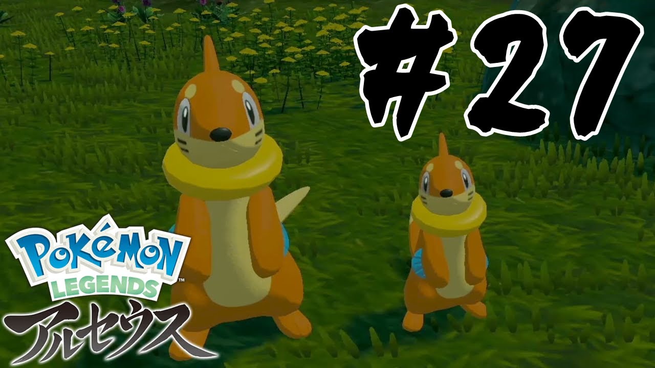 【サブ依頼】ブイゼルの大きいのと小さいのを比べてみた！ #27【Pokemon LEGENDS アルセウス】