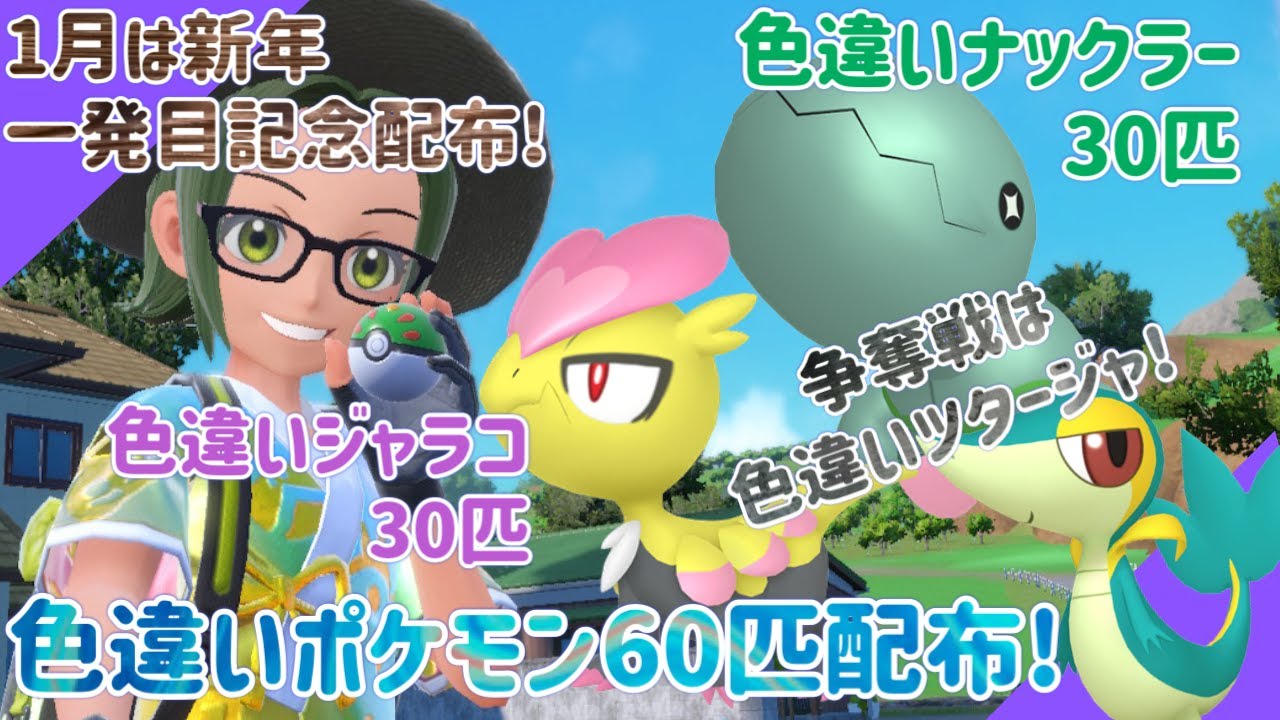 【ポケモンSV】自己産！色違いナックラー＆色違いジャラコ60匹配布！争奪戦は色違いツタージャ！【色違いポケモン配布】