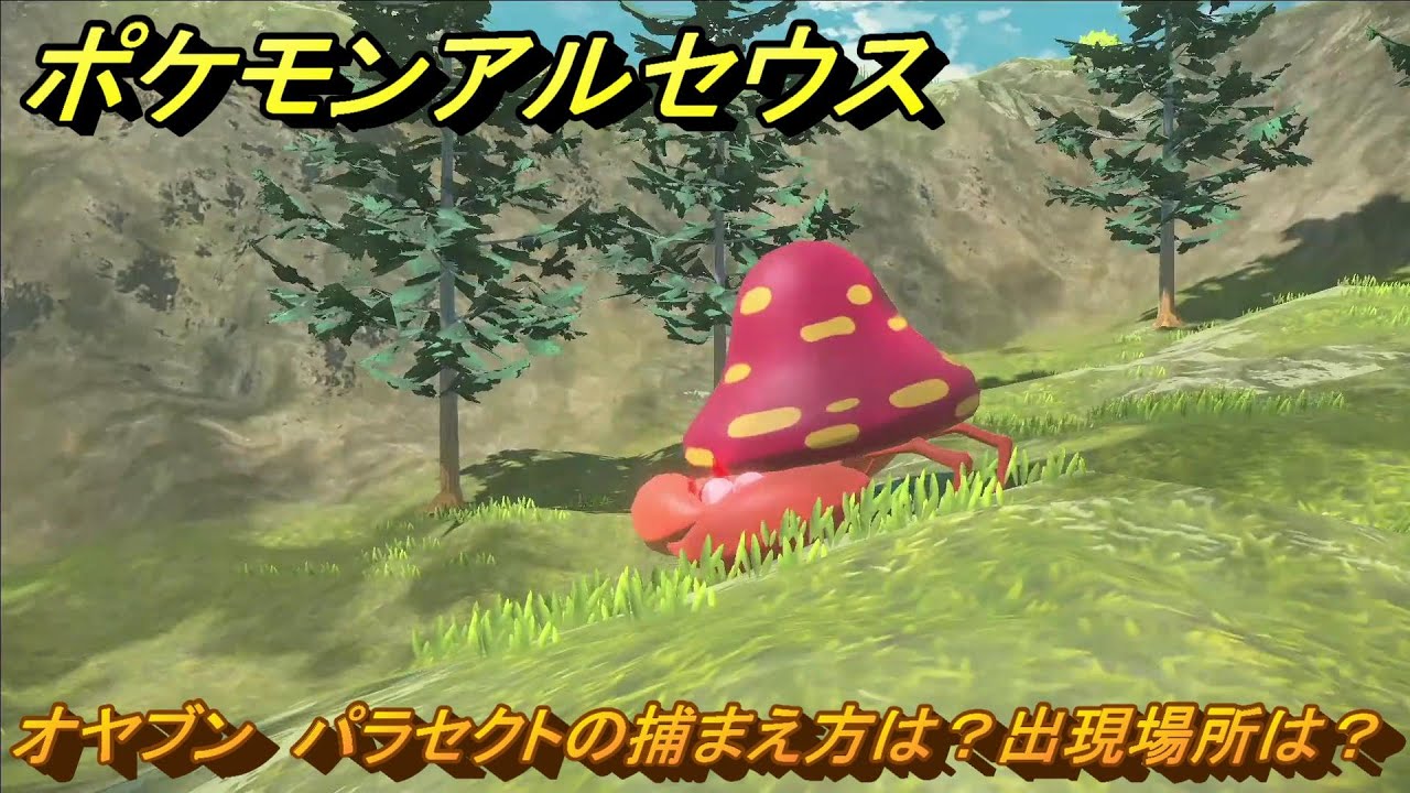 ポケモンアルセウス　オヤブン　パラセクトの捕まえ方は？出現場所は？　＃３７６　【Pokémon LEGENDS アルセウス】
