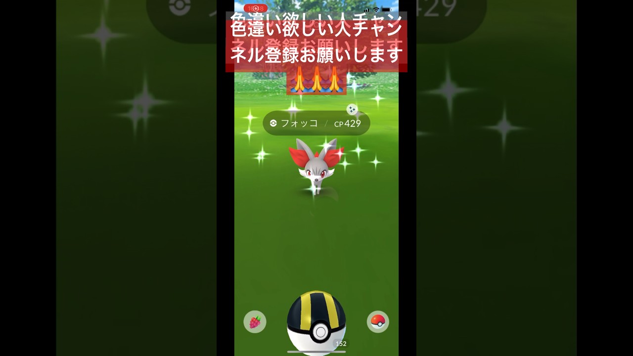 汗水垂らしてゲットしたフォッコ！！#shorts #short #ポケモンgo #ポケットモンスター #ポケgo #色違い #ポケモン #pokemon