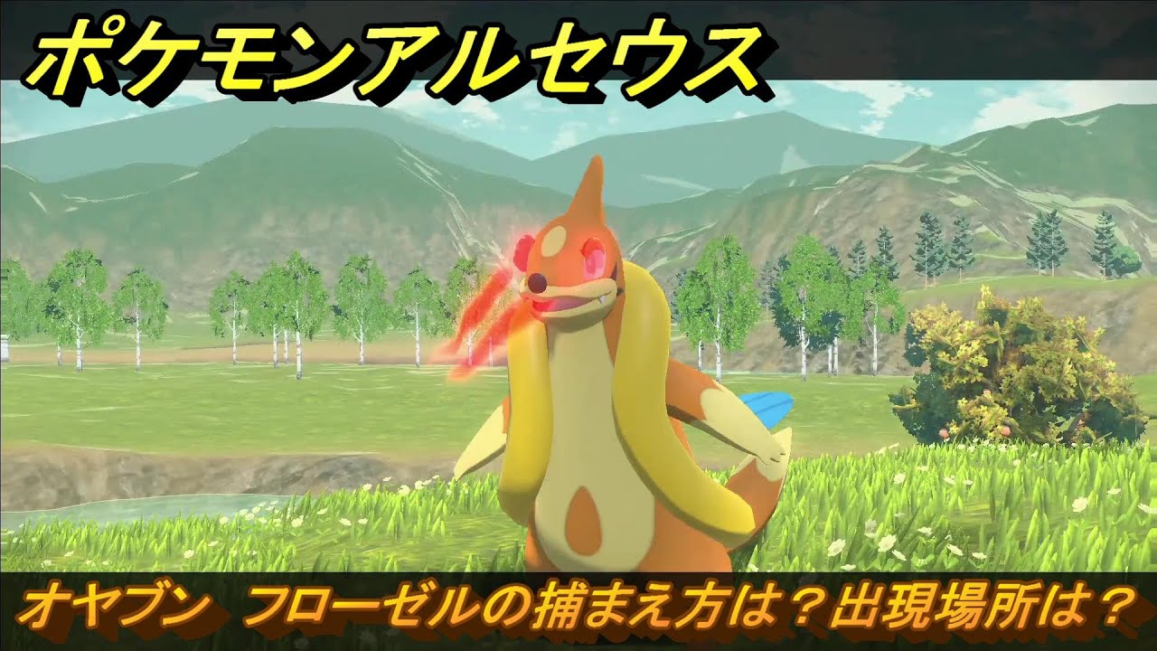 ポケモンアルセウス　オヤブン　フローゼルの捕まえ方は？出現場所は？　＃３７８　【Pokémon LEGENDS アルセウス】