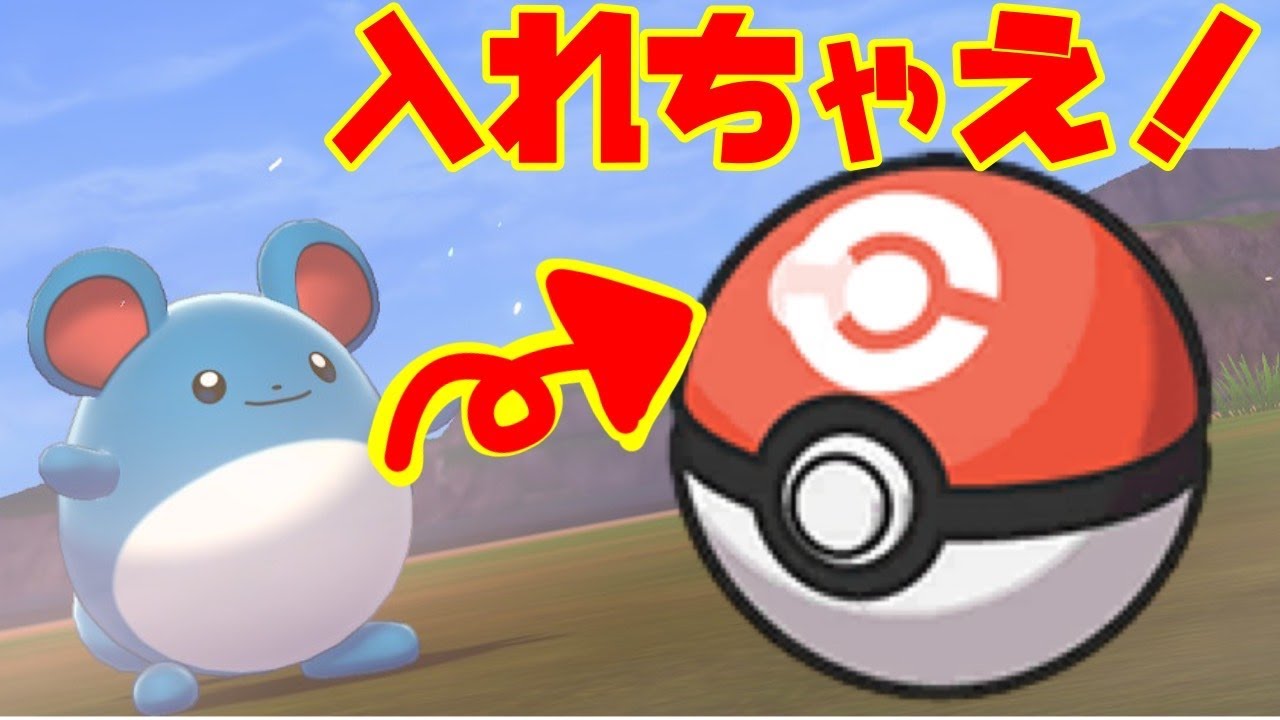 コンペボール入りのマリルが欲しい！