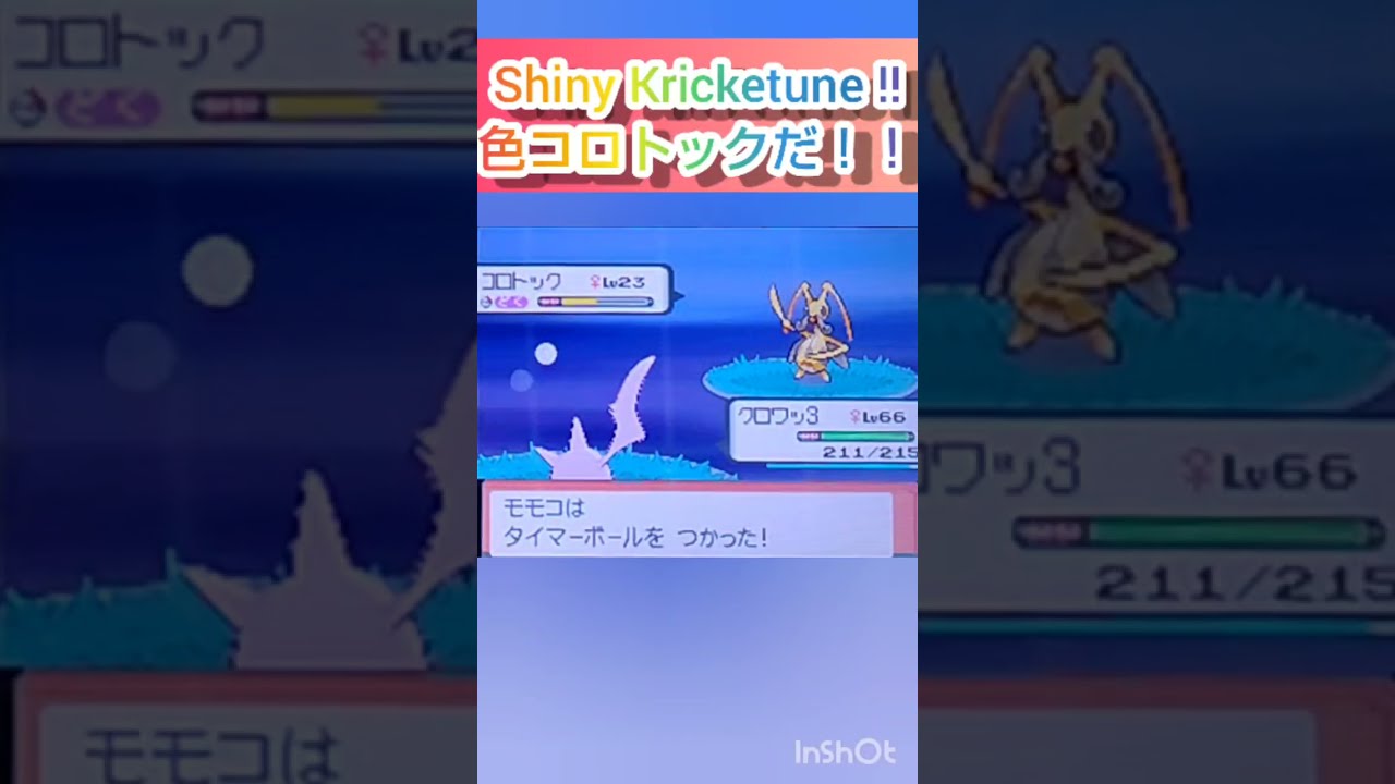 【ポケモンDP】色違い捕獲日記　75日目　コロトック　【PokémonDP】The diary Capturing shiny Pokémon's　Day75　Kricketune　#shorts