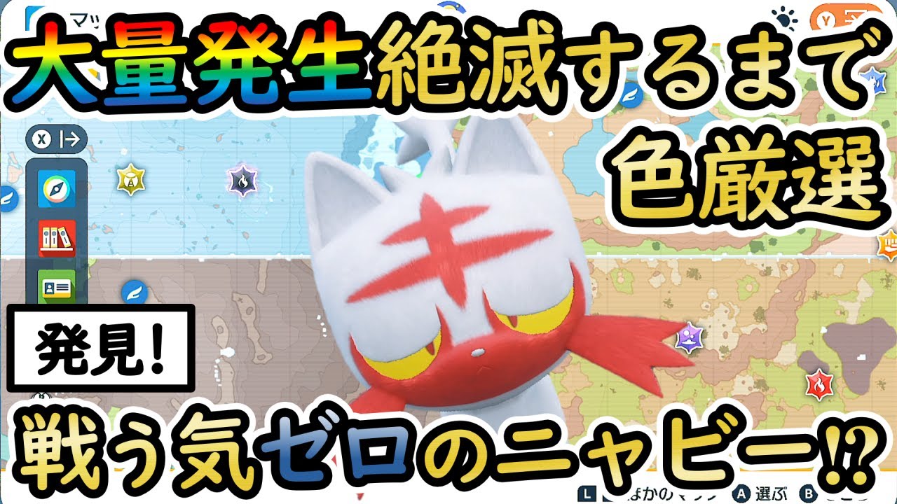 【色厳選チャレンジ】ニャビーの大量発生個体が絶滅するまで色違い厳選を続けたら捕獲数/サイズ/レア証は？色証ガオガエンは♂で良し！【 #ポケモンSV 】