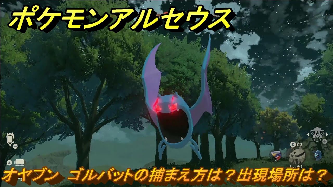 ポケモンアルセウス　オヤブン　ゴルバットの捕まえ方は？出現場所は？　＃３８０　【Pokémon LEGENDS アルセウス】