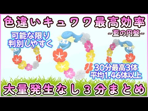 色違いキュワワー最高効率３分まとめ30分最高3体平均1.46体#ポケモンsv #最高効率 #色違い #キュワワー #大量発生なし #藍の円盤