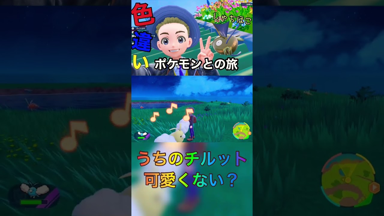【ポケモンバイオレット】54チルットとの戯れ#shorts #ゲーム #switch #ポケモンsv #ポケモンsv #色違い #チャンネル登録お願いします