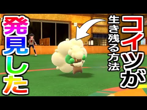 ゴミみたいなメンタル技環境で使い物にならなくなった「エルフーン」の活路を見出した男。【ポケモンSV実況】
