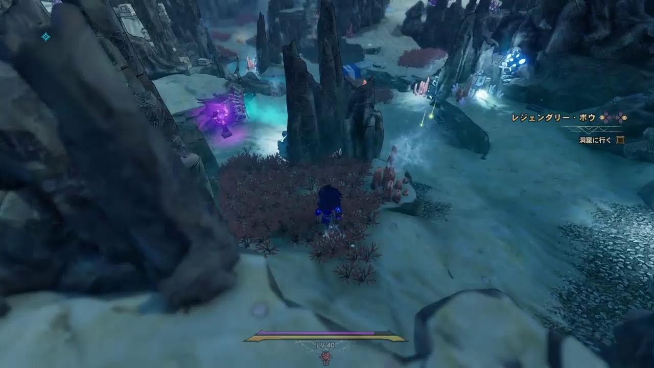 [PS４][初見歓迎][カタログ]　ワンダーランズ