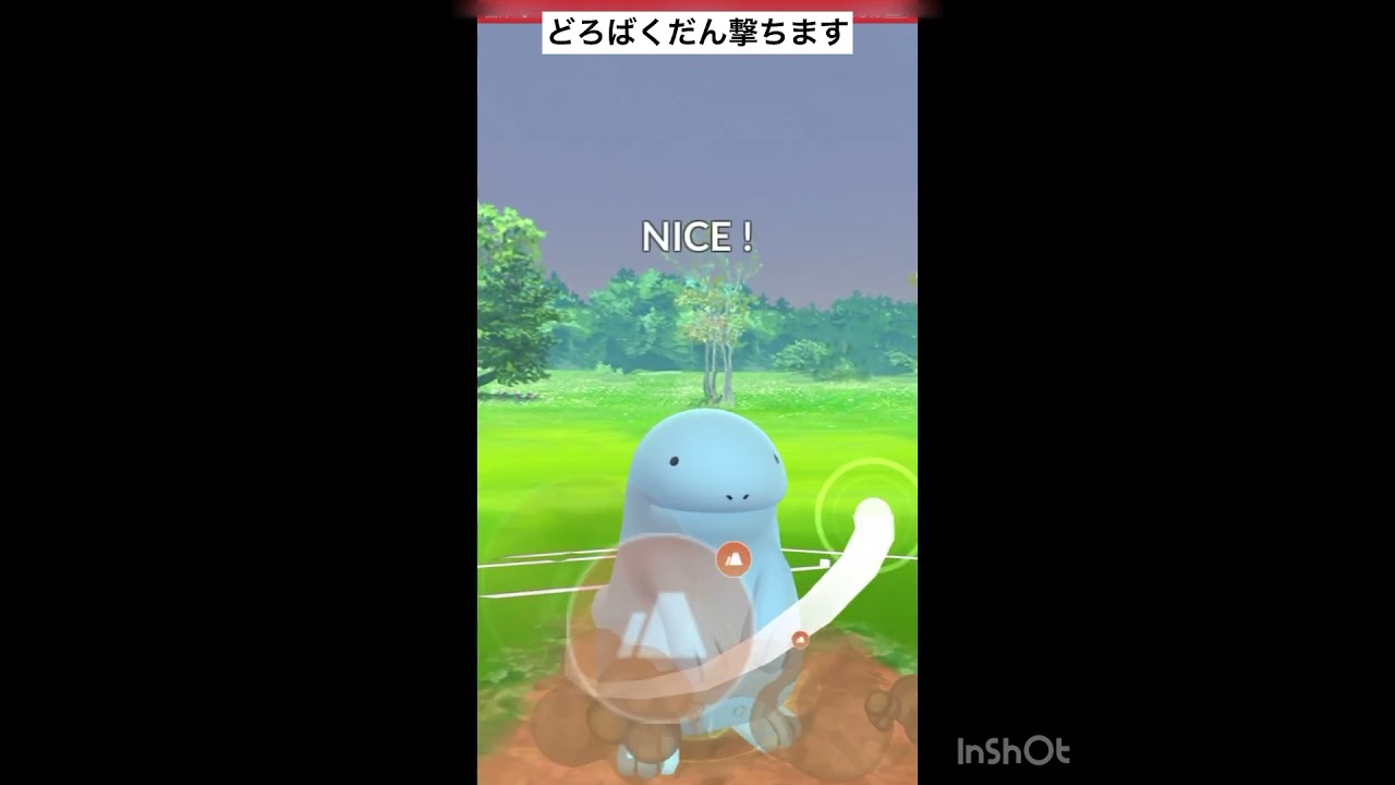 シャドボ型のドクロッグが⁉️