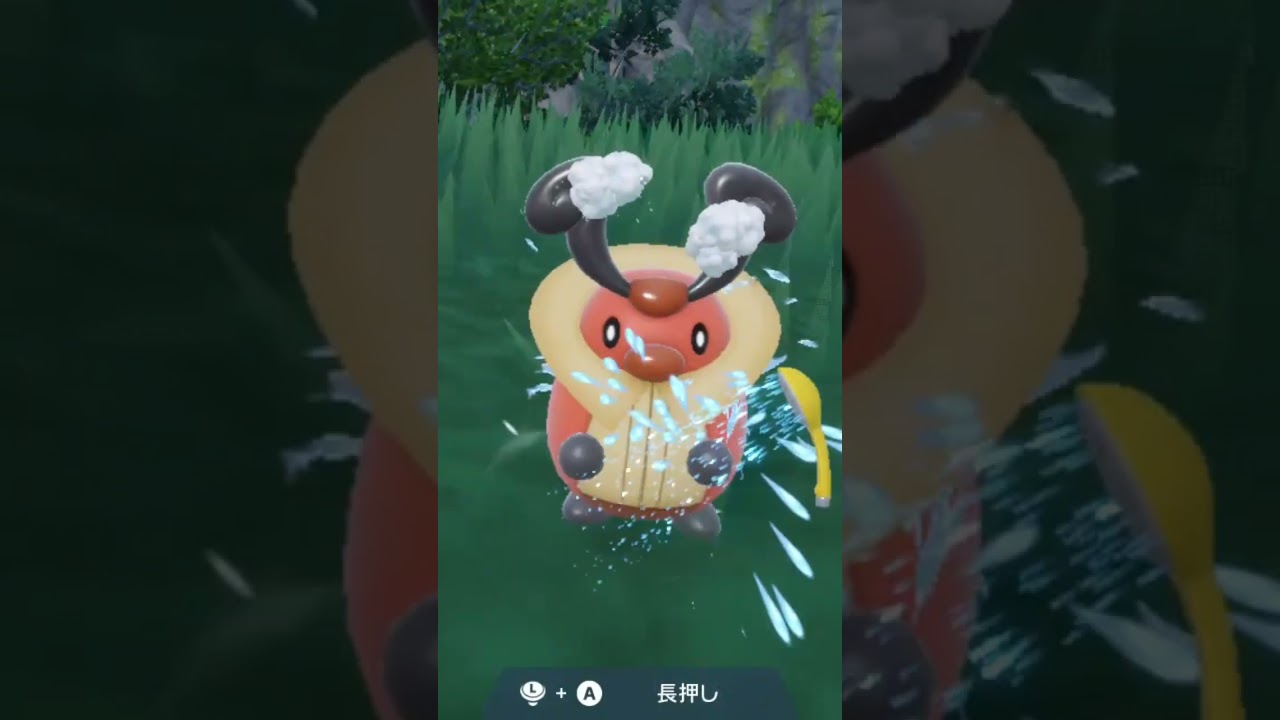 コロボーシ Kricketot【ポケモンsv】