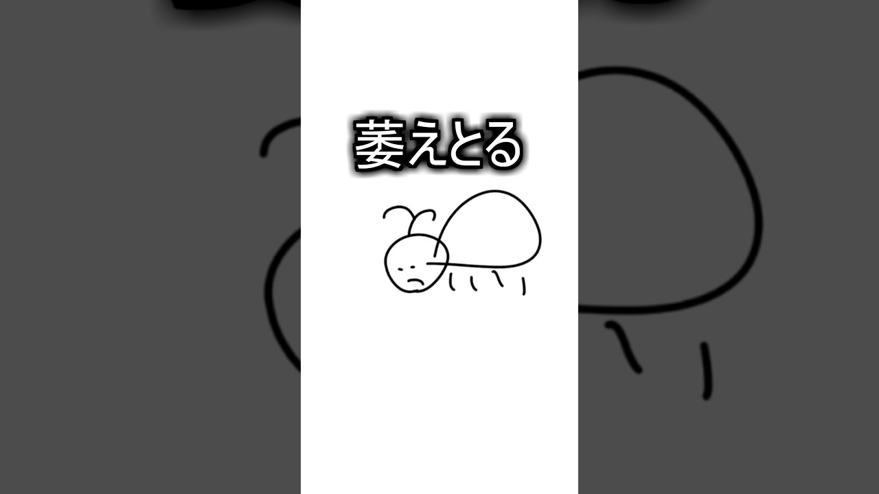 3秒でナエトルを描いてみた #描いてみた  #イラストメイキング #3秒で描いてみた #shorts #Vtuber  #ブルーアーカイブ #ポケモン  #新人vtuber #羚王リレイア