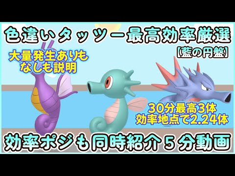 色違いタッツー最高効率＆効率ポジ 5分まとめ動画 30分平均約3体#ポケモンsv #最高効率 #色違い #タッツー ＃シードラ ＃キングドラ #藍の円盤 #大量発生ありなし説明 #ピクニックなし
