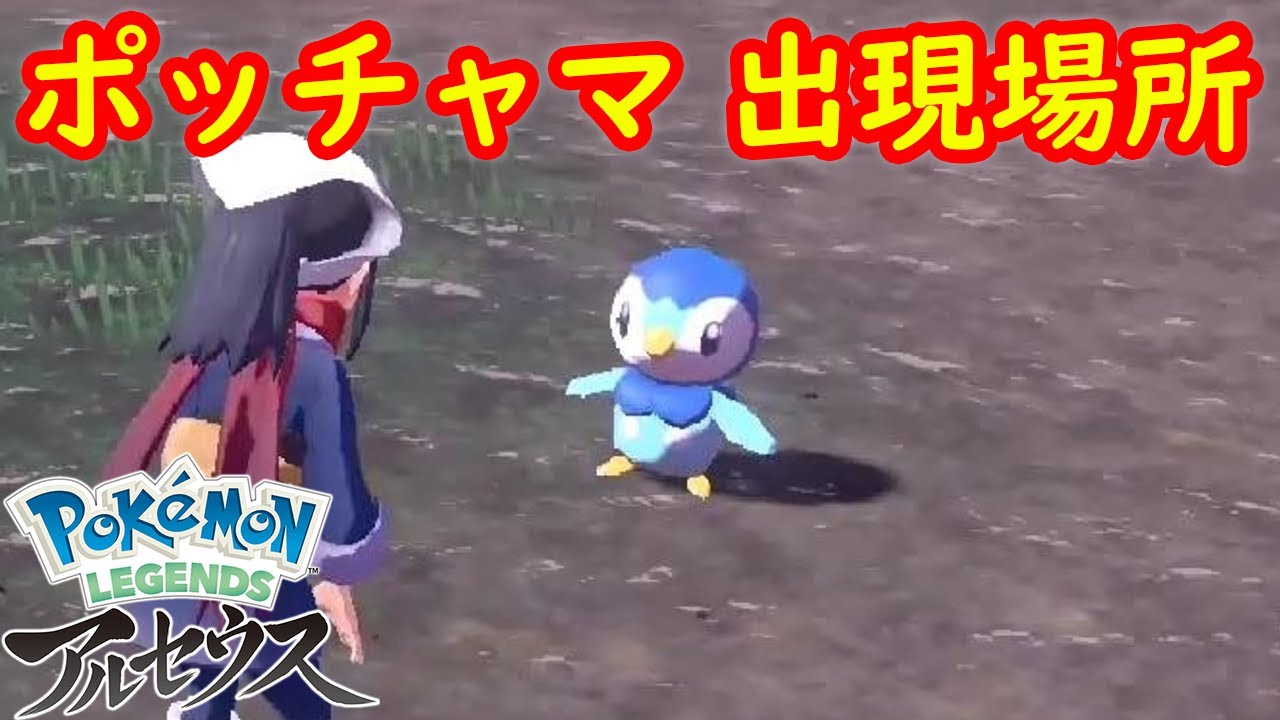 【ポッチャマ】出現場所 入手方法 攻略  【Pokémon LEGENDS アルセウス ポケモン レジェンズ アルセウス】
