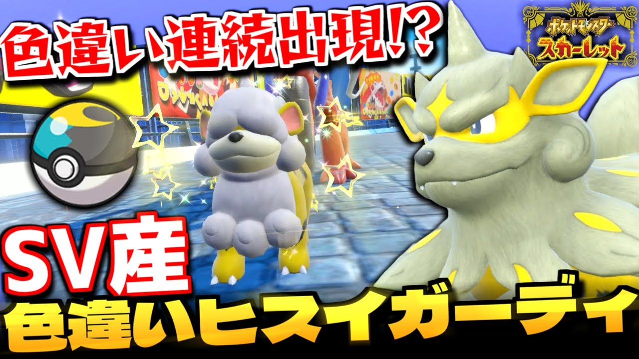 爆速で色違い連続出現!?SV産｢ヒスイガーディ｣の孵化厳選をしたら低確率の♀色違いが出る奇跡がｗｗｗ 色違いヒスイウインディにも進化!!【ポケモンSV】【色違いポケモン】【色違い厳選】【切り抜き】