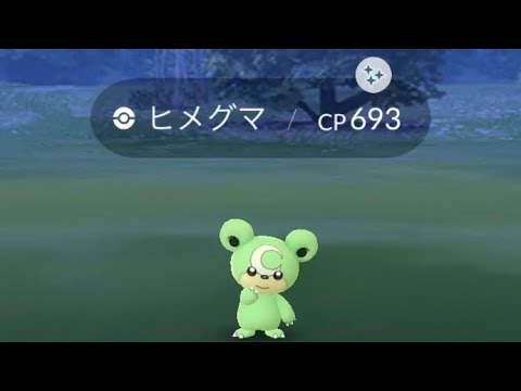 ポケモンGO  ヒメグマ色違い