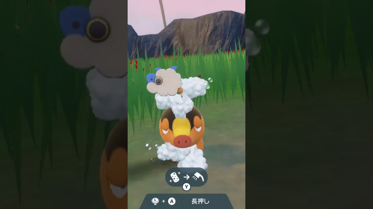 ポカブ Tepig【ポケモンsv】