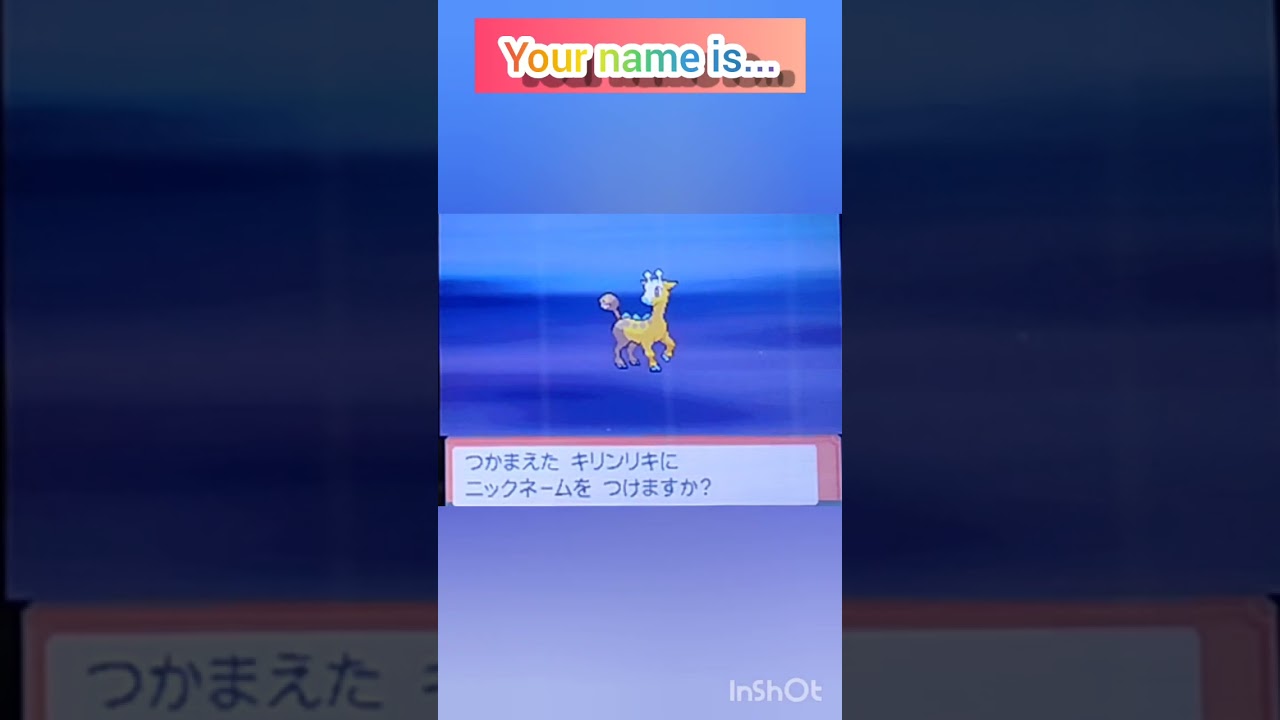 【ポケモンDP】色違い捕獲日記　71日目　キリンリキ　【PokémonDP】The diary Capturing shiny Pokémon's　Day71　Girafarig　#shorts