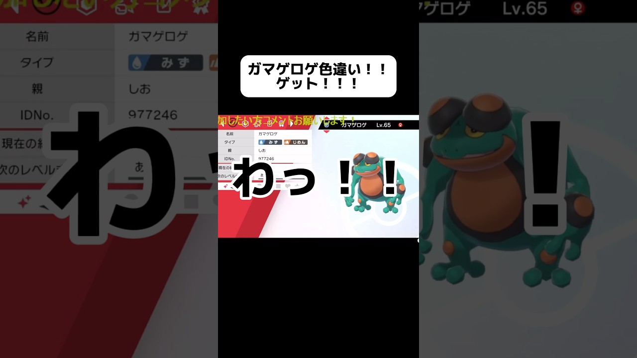 ガマゲロゲ色違いゲット🤪 #ポケモン#ポケモン剣盾 #ポケモン色違い #色違いポケモン #色違い厳選 #ゲーム配信 #ゲーム配信者