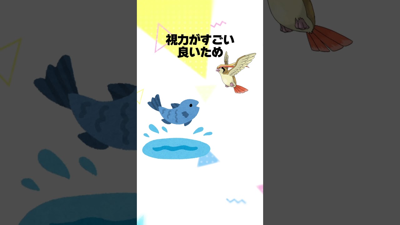 【ポケモン】ピジョット系統に関する豆知識 #shorts #ポケモン #雑学