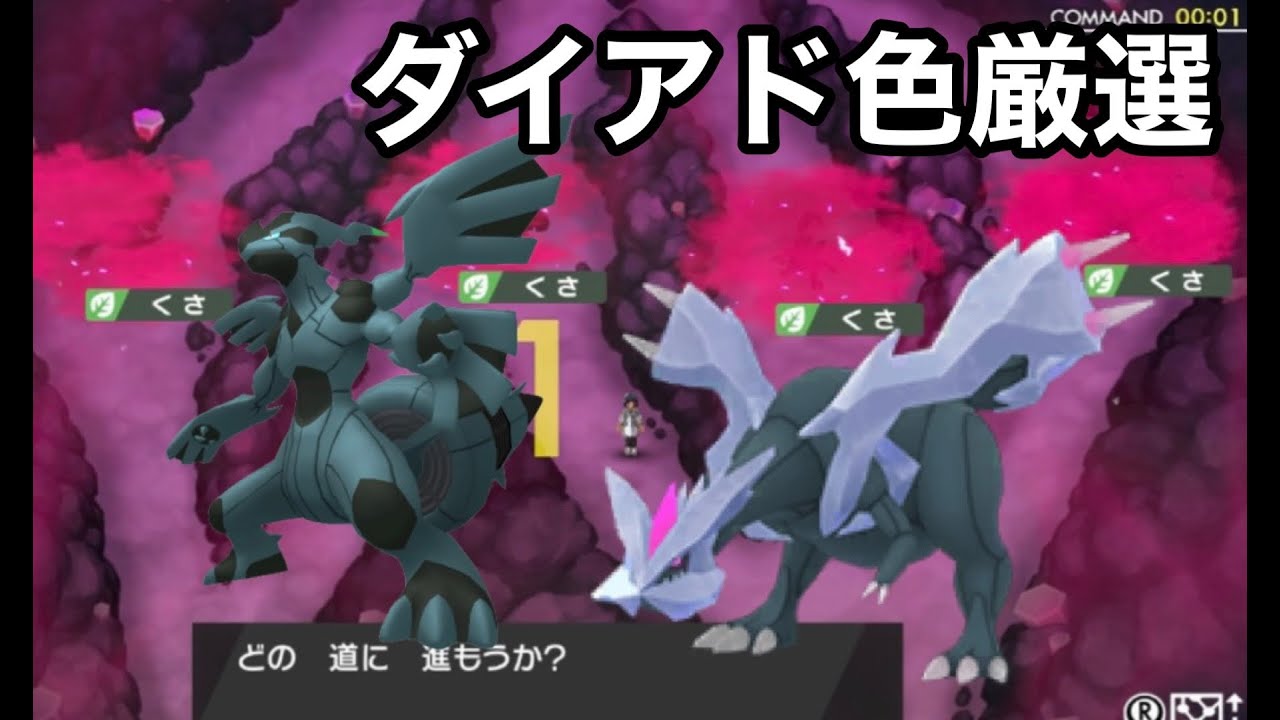 【作業枠】ダイアドで色違いゼクロム厳選【ポケモン剣盾】【ポケットモンスターソード・シールド】