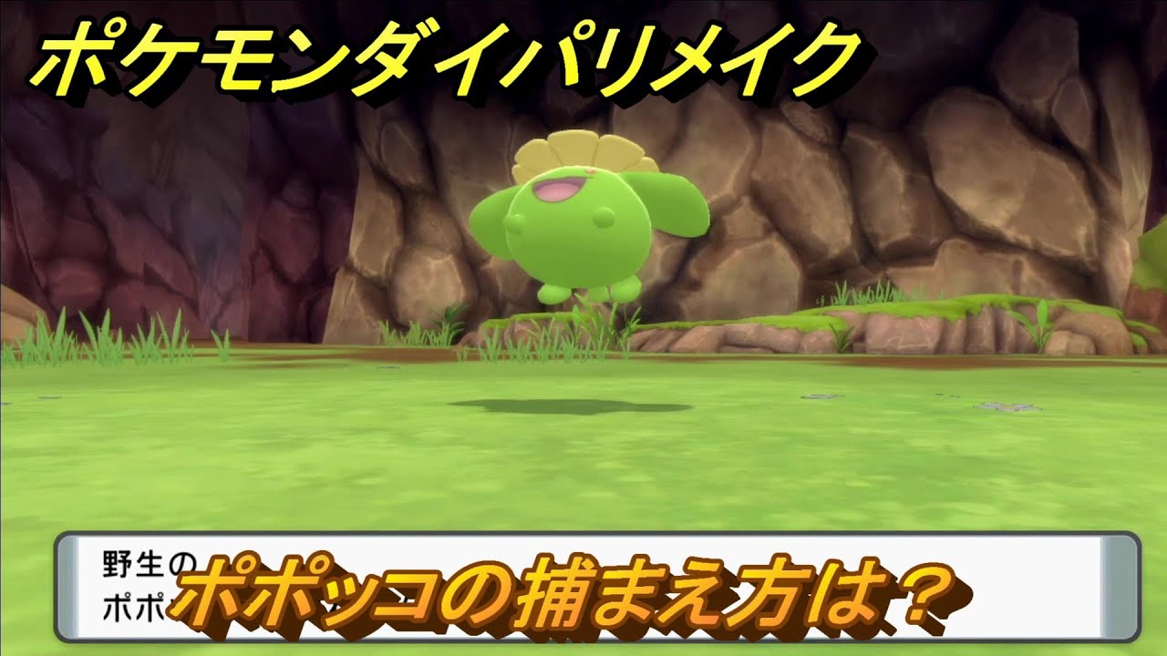 ポケモンダイパリメイク　ポポッコの捕まえ方は？出現場所は？　最新版【ブリリアントダイヤモンド・シャイニングパール】