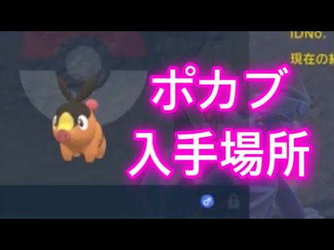 【ポケモンSV】【藍の円盤】ポカブ入手場所